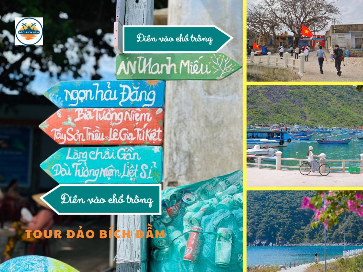 tour đảo bích đầm